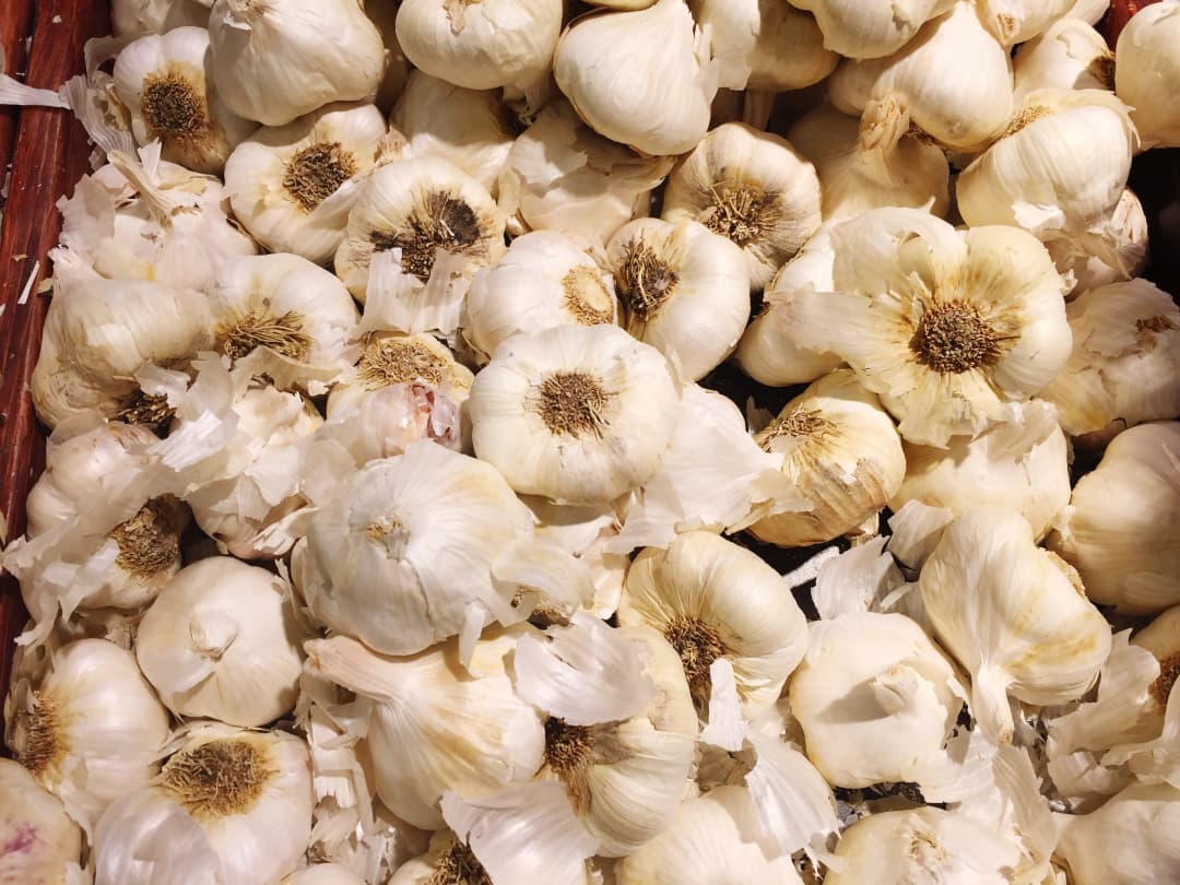 Desi A Grade bulbs from Mandsaur mandi