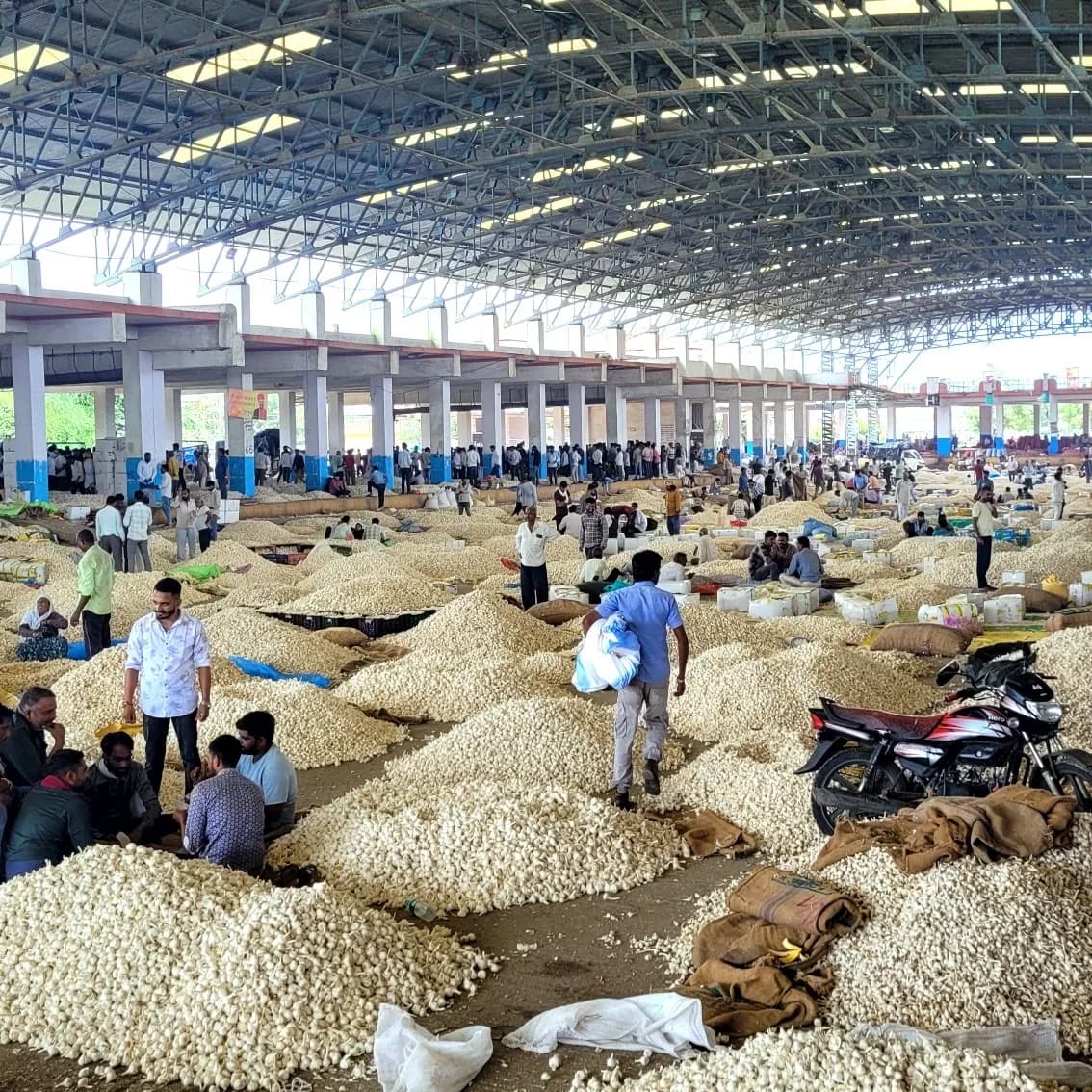 Mandsaur mandi administrative building